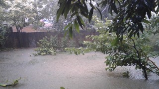 রোববার থেকে বাড়তে পারে বৃষ্টিপাতের প্রবণতা