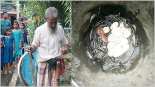 সোনারগাঁয়ে ৪৮ টি বিষধর গোখরা সাপ উদ্ধার সোনারগাঁয়ে ৪৮ টি বিষধর গোখরা সাপ উদ্ধার