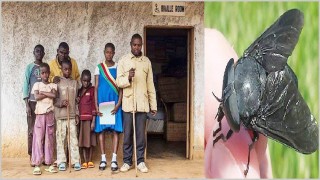 যে গ্রামের মানুষ, পশু সবাই অন্ধ