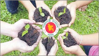 সরকারি ত্রাণ নিলে কমপক্ষে ৫টি গাছ লাগাতে হবে সরকারি ত্রাণ নিলে কমপক্ষে ৫টি গাছ লাগাতে হবে