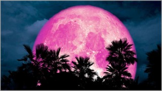 ৮ এপ্রিল দেখা যাবে ‘সুপার পিঙ্ক মুন’