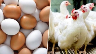 প্রান্তিক পর্যায়ে উৎপাদিত মাছ, দুধ, ডিম ও পোল্ট্রি বাজারজাতকরণের উদ্যোগ