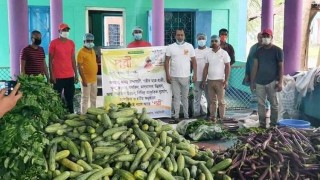 ঘোড়াশালে কর্মহীন দরিদ্র পরিবারে বিনামূল্যে সবজি বিতরণ ঘোড়াশালে কর্মহীন দরিদ্র পরিবারে বিনামূল্যে সবজি বিতরণ