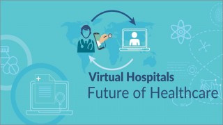 ভার্চুয়াল হাসপাতালের উদ্বোধন করলেন প্রতিমন্ত্রী পলক