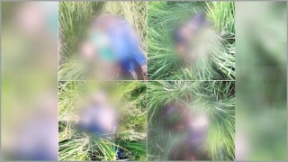 বিএসএফ-এর গুলিতে পাঁচ ‘অনুপ্রবেশকারী’ নিহত