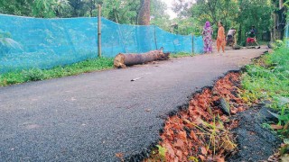 পলাশে নির্মাণের ১০ দিনেই ধসে পড়ছে সড়ক