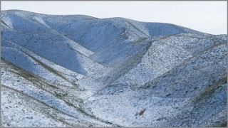 ইরানের তেহরানে ১০ পর্বতারোহী নিহত, নিখোঁজ ৭