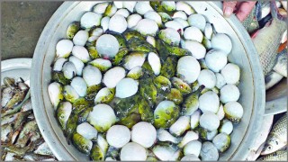 ‘পটকা মাছ’ খেয়ে বউ-শাশুড়ির মৃত্যু