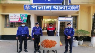 পলাশে ইয়াবাসহ মাদক কারবারি গ্রেপ্তার পলাশে ইয়াবাসহ মাদক কারবারি গ্রেপ্তার