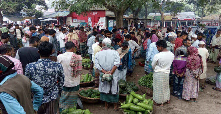 নরসিংদীতে সরবরাহ বাড়ায় কমছে শীতকালীন শাকসবজির দাম নরসিংদীতে সরবরাহ বাড়ায় কমছে শীতকালীন শাকসবজির দাম