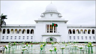 সারা দেশে জুয়া খেলা নিষিদ্ধ ঘোষণা করে হাইকোর্টের রায়