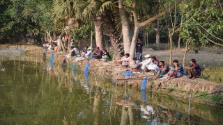 পলাশে বড়শি দিয়ে মাছ শিকারের আনন্দ উপভোগ