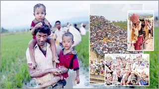 মিয়ানমারে গণহত্যা: গাম্বিয়ার করা মামলার রায় ২৩ জানুয়ারি