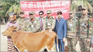 শিবপুরে সেনাবাহিনী কর্তৃক গবাদি প্রাণি ও হাঁস-মুরগীর চিকিৎসা ক্যাম্প শিবপুরে সেনাবাহিনী কর্তৃক গবাদি প্রাণি ও হাঁস-মুরগীর চিকিৎসা ক্যাম্প