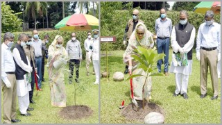 করোনা মোকাবেলা করে আবার আমরা ঘুরে দাঁড়াব: প্রধানমন্ত্রী শেখ হাসিনা করোনা মোকাবেলা করে আবার আমরা ঘুরে দাঁড়াব: প্রধানমন্ত্রী শেখ হাসিনা