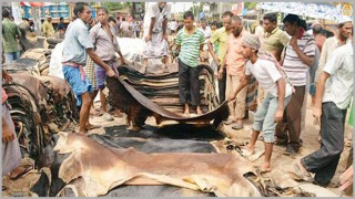 কোরবানির পশুর কাঁচা চামড়ার মূল্য নির্ধারণ