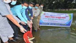 মুজিববর্ষ উপলক্ষে নরসিংদী পুলিশ লাইন্স এ মাছের পোনা অবমুক্ত ও বৃক্ষরোপণ
