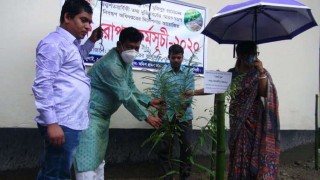 বেলাবতে বৃক্ষরোপণ কর্মসূচী পালন বেলাবতে বৃক্ষরোপণ কর্মসূচী পালন