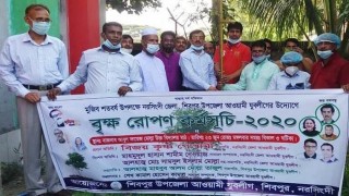 শিবপুরে যুবলীগের উদ্যোগে বৃক্ষরোপন কর্মসূচী শুরু