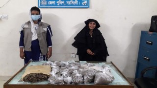 নরসিংদীতে ডিবি’র পৃথক অভিযানে গাঁজা ও ইয়াবাসহ দুইজন গ্রেফতার