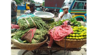 লকডাউন তুলে নেয়ার পর নরসিংদীতে সবজির ন্যায্য দাম পাচ্ছেন কৃষকরা