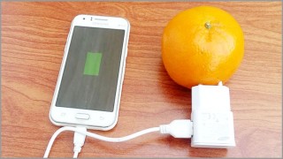 গবেষণা: ফল দিয়ে চার্জ হবে মোবাইল!