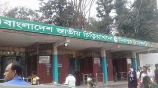 করোনাভাইরাসের বিস্তার রোধে জাতীয় চিড়িয়াখানা ৩১ মার্চ পর্যন্ত বন্ধ থাকবে  করোনাভাইরাসের বিস্তার রোধে জাতীয় চিড়িয়াখানা ৩১ মার্চ পর্যন্ত বন্ধ থাকবে