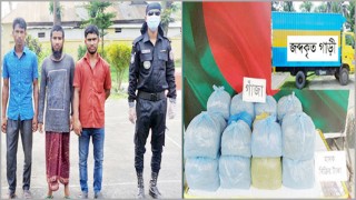 ভৈরবে দেড় মণ গাঁজাসহ র্যাবের হাতে আটক ৩ ভৈরবে দেড় মণ গাঁজাসহ র্যাবের হাতে আটক ৩