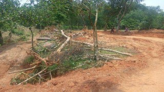 বেলাবতে রিকশাচালকের বসতঘর ভাংচুর করে রাস্তা নির্মাণের অভিযোগ