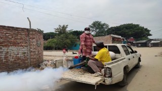 নরসিংদীতে ডেঙ্গু নিধন কার্যক্রম শুরু করলেন মেয়র