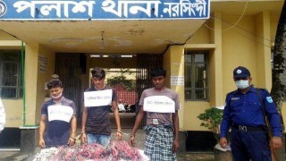 পলাশে সার কারখানায় তার চুরি করার সময় গ্রেফতার ৩