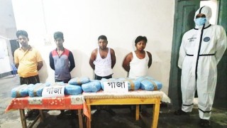 রায়পুরায় ১৭ কেজি গাঁজাসহ ৪ জন গ্রেফতার