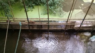 শিবপুরে নদী ও খাল থেকে অবৈধ বাঁধ উচ্ছেদ করলো পুলিশ