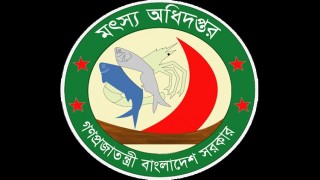 উন্নীত করা হলো মৎস্য অধিদপ্তরের ২৩৪ জন কর্মচারীর বেতন গ্রেড  উন্নীত করা হলো মৎস্য অধিদপ্তরের ২৩৪ জন কর্মচারীর বেতন গ্রেড
