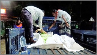 নরসিংদীতে সড়ক দূর্ঘটনায় মা-ছেলে নিহত