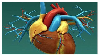 বিশ্ব খাদ্য দিবস: খাদ্যে ট্রান্সফ্যাট হৃদরোগজনিত মৃত্যুঝুঁকি বাড়ায়