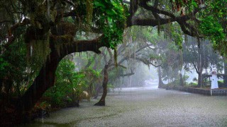 সারাদেশে তিন দিন থাকতে পারে বৃষ্টিপাত সারাদেশে তিন দিন থাকতে পারে বৃষ্টিপাত