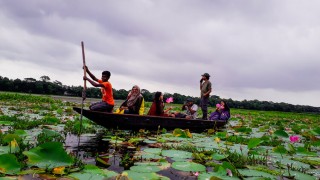 সৌন্দর্য পিপাসুদের নজর কাড়ছে শিবপুরের চিনাদী বিল