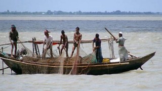 কাপ্তাই হ্রদের মৎস্য মৎস্যজীবীদের জন্য আরো চাল বরাদ্দ কাপ্তাই হ্রদের মৎস্য মৎস্যজীবীদের জন্য আরো চাল বরাদ্দ