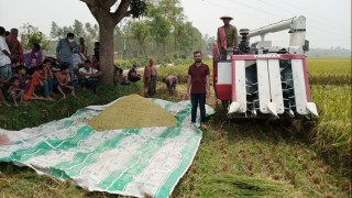 রায়পুরায় যান্ত্রিকভাবে ধান কাটা কার্যক্রমের উদ্বোধন