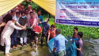শিবপুরে পোনা মাছ অবমুক্তকরণ ও মাসিক আইনশৃঙ্খলা সভা