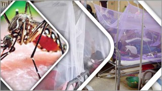 চলতি বছর ডেঙ্গুতে ১০০ জনের মৃত্যু, আক্রান্ত ২৭ হাজার ৭৭৯ চলতি বছর ডেঙ্গুতে ১০০ জনের মৃত্যু, আক্রান্ত ২৭ হাজার ৭৭৯