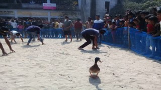 শিবপুরে চোখ বেঁধে হাঁস ধরা প্রতিযোগিতা অনুষ্ঠিত