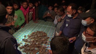 বেলাবতে মুক্তিযুদ্ধের সংগঠকের বাড়ির আঙ্গিনার মাটির নীচে মিলল ৩৪৬০ পিস গুলি