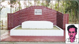 শহীদ আসাদের চেতনা কখনো শেষ হওয়ার নয় : ন্যাপ