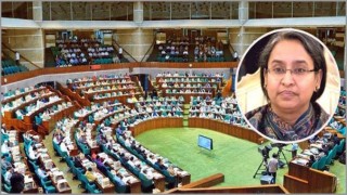 সংসদে বিল পাস হলে এইচএসসির ফলাফল প্রকাশ: দীপু মনি সংসদে বিল পাস হলে এইচএসসির ফলাফল প্রকাশ: দীপু মনি