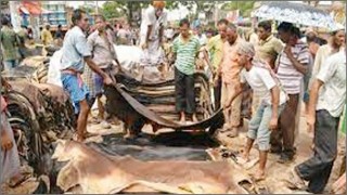 কোরবানির পশুর কাঁচা চামড়ার দাম নির্ধারণ