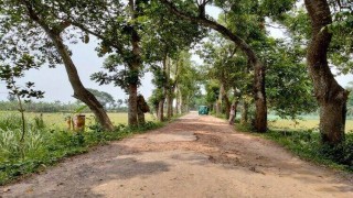 মনোহরদীতে আঞ্চলিক সড়কের বেহাল দশা, দুর্ভোগে ৩ ইউনিয়নবাসী