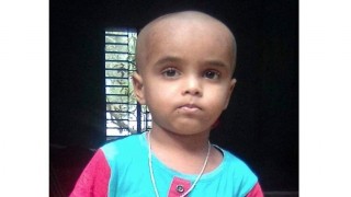 রায়পুরা ভীমরুলের কামড়ে শিশুর মৃত্যু