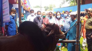 পলাশে "পুষ্টি, মেধা, দারিদ্র বিমোচন প্রাণিসম্পদ শীর্ষক প্রদর্শনী পলাশে "পুষ্টি, মেধা, দারিদ্র বিমোচন প্রাণিসম্পদ শীর্ষক প্রদর্শনী